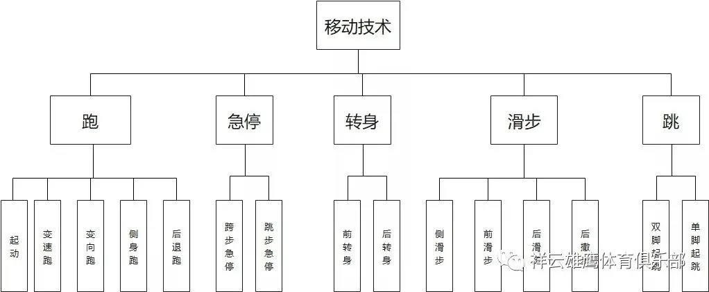 如何借助高科技分析提升篮球投篮命中率_1
